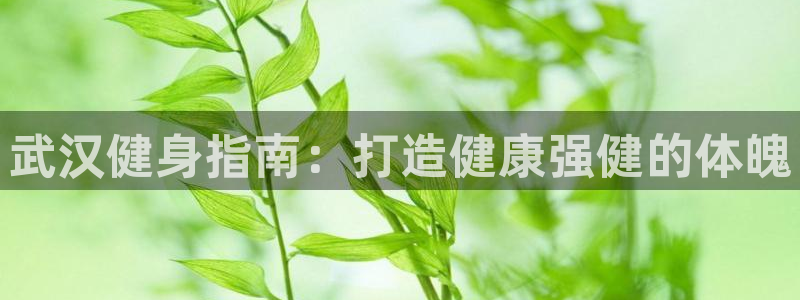 意昂2招商