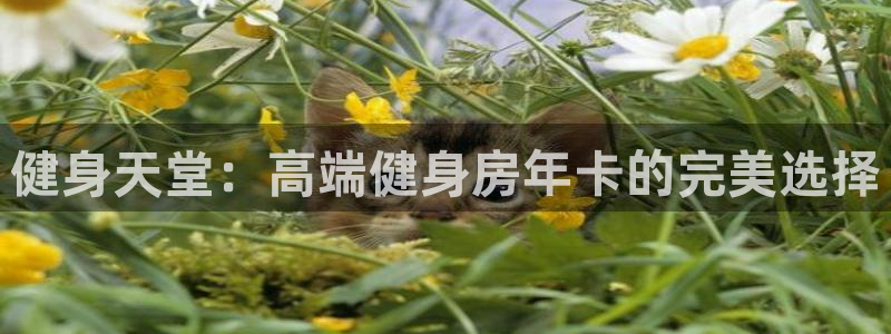 意昂2娱乐